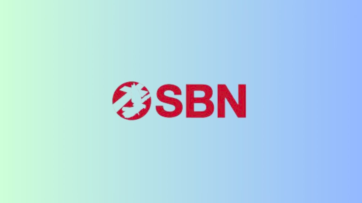 SBN GLOBAL image